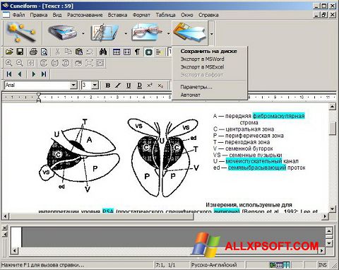 Screenshot CuneiForm Windows XP