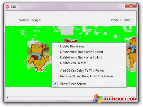 Screenshot GifCam Windows XP